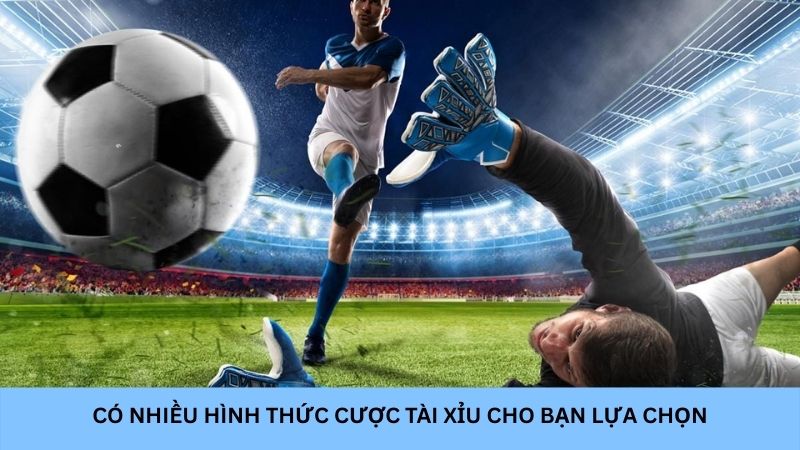 Có nhiều hình thức cược tài xỉu cho bạn lựa chọn