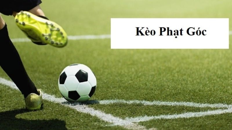 Hiệp 1 thường diễn biến ít bất ngờ hơn so với hiệp 2  
