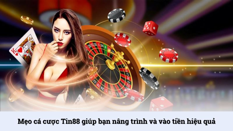 Mẹo cá cược được Tin88 xây dựng như một kho kiến thức hữu dụng