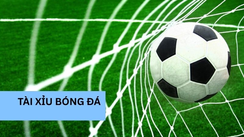 Tài xỉu bóng đá - Thông tin chi tiết cho người mới bắt đầu