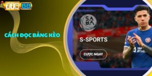 Cách Đọc Bảng Kèo Hiệu Quả Áp Dụng Cho Thành Viên Mới