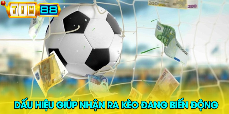 Dấu hiệu giúp nhận ra kèo đang biến động